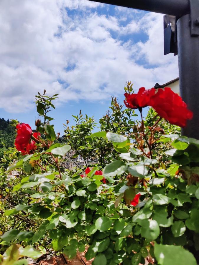 Tra Sole & Mare Διαμέρισμα Zoagli Εξωτερικό φωτογραφία