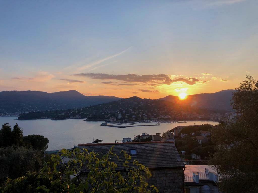 Tra Sole & Mare Διαμέρισμα Zoagli Εξωτερικό φωτογραφία